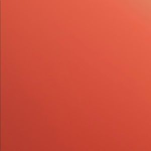 Meet your Posher, Leo